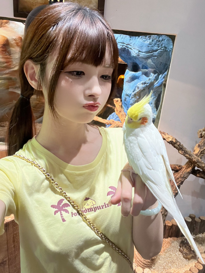 秘密森林2