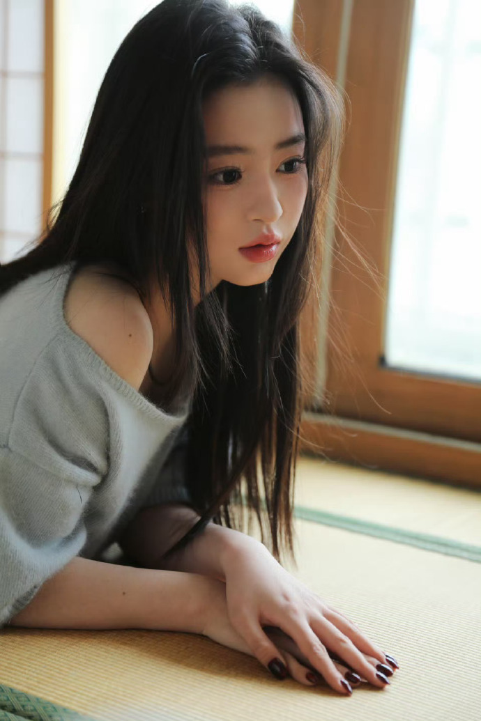 风起陇西 封面